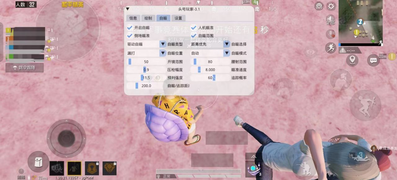 和平精英【雪儿内核】辅助